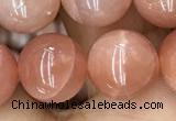 CMS1478 15.5 inches 12mm round moonstone beads wholesale