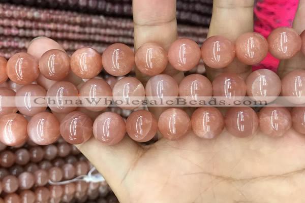 CMS1478 15.5 inches 12mm round moonstone beads wholesale