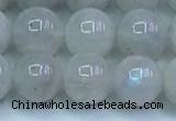 CMS1491 15.5 inches 8mm round white moonstone beads wholesale