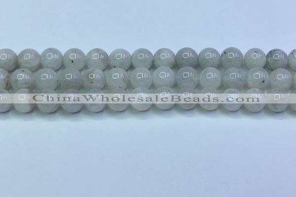 CMS1491 15.5 inches 8mm round white moonstone beads wholesale