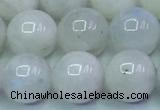 CMS1492 15.5 inches 10mm round white moonstone beads wholesale