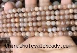 CMS1677 15.5 inches 4mm faceted round moonstone beads wholesale