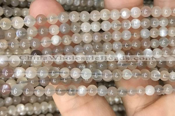 CMS1684 15.5 inches 4mm round rainbow moonstone beads wholesale