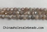 CMS1788 15.5 inches 8mm faceted coin AB-color moonstone beads