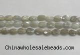 CMS1806 15.5 inches 8*12mm faceted oval AB-color moonstone beads