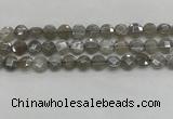 CMS1818 15.5 inches 10mm faceted coin AB-color moonstone beads