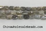 CMS1825 15.5 inches 12*16mm faceted rectangle AB-color moonstone beads