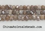 CMS1838 10*12mm - 12*16mm faceted freeform AB-color moonstone beads