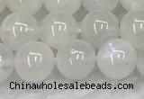 CMS1902 15.5 inches 8mm round white moonstone gemstone beads