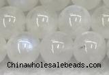 CMS1903 15.5 inches 10mm round white moonstone gemstone beads