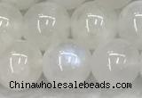 CMS1904 15.5 inches 12mm round white moonstone gemstone beads