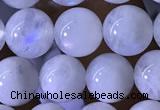 CMS1922 15.5 inches 8mm round white moonstone gemstone beads