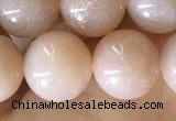 CMS1932 15.5 inches 10mm round moonstone beads wholesale