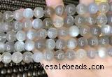 CMS1943 15.5 inches 10mm round grey moonstone beads wholesale