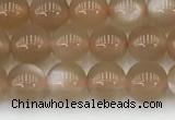 CMS1956 15.5 inches 5mm round natural moonstone gemstone beads