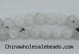 CMS202 15.5 inches 7mm round moonstone gemstone beads wholesale