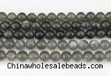 CMS2022 15.5 inches 10mm round black moonstone beads wholesale