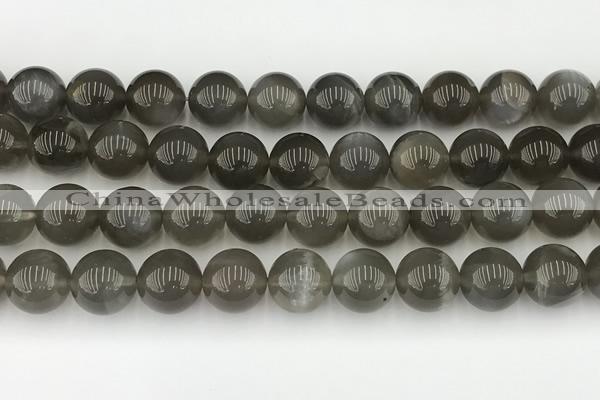 CMS2023 15.5 inches 12mm round black moonstone beads wholesale