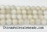 CMS2031 15.5 inches 14mm round white moonstone beads wholesale