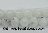 CMS204 15.5 inches 10mm round moonstone gemstone beads wholesale