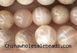 CMS2054 15.5 inches 6mm round moonstone gemstone beads