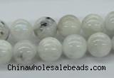 CMS206 15.5 inches 12mm round moonstone gemstone beads wholesale