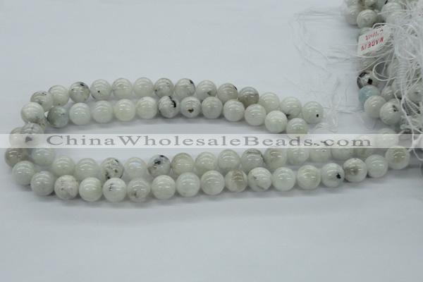 CMS206 15.5 inches 12mm round moonstone gemstone beads wholesale