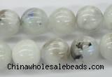 CMS207 15.5 inches 14mm round moonstone gemstone beads wholesale