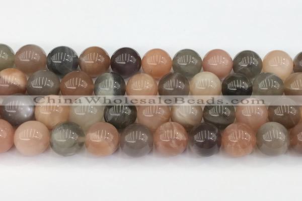 CMS2073 15 inches 12mm round moonstone gemstone beads