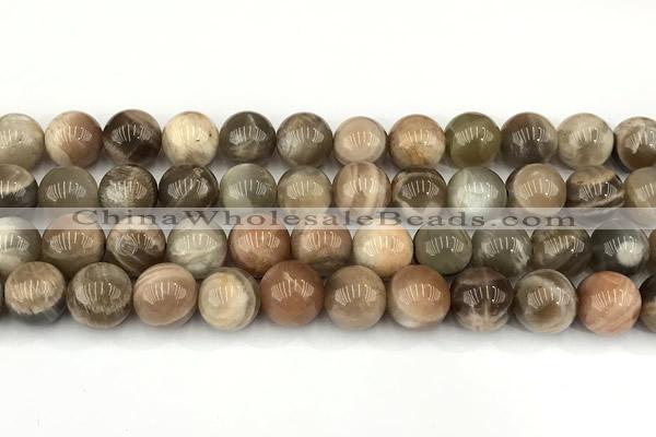 CMS2089 15 inches 12mm round moonstone gemstone beads
