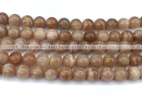 CMS2113 15 inches 10mm round moonstone beads