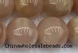 CMS2114 15 inches 11mm round moonstone beads