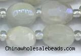 CMS2130 15 inches 8*10mm - 9*12mm faceted nuggets AB-color moonstone beads