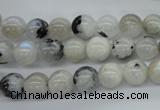 CMS216 15.5 inches 8mm round white moonstone gemstone beads