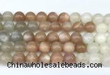 CMS2167 15 inches 10mm round rainbow moonstone beads