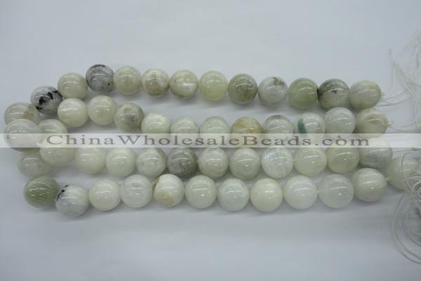 CMS217 15.5 inches 16mm round white moonstone gemstone beads