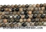 CMS2288 15 inches 8mm round grey moonstone beads wholesale