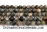 CMS2289 15 inches 10mm round grey moonstone beads wholesale