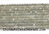 CMS2293 15 inches 4mm round grey moonstone beads wholesale