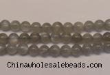 CMS300 15.5 inches 5mm round natural grey moonstone beads wholesale