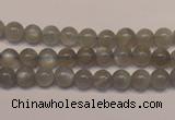 CMS302 15.5 inches 7mm round natural grey moonstone beads wholesale
