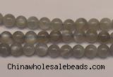 CMS302 15.5 inches 7mm round natural grey moonstone beads wholesale