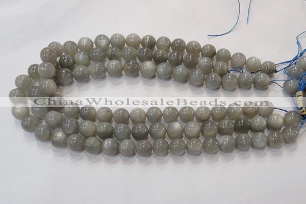 CMS307 15.5 inches 12mm round natural grey moonstone beads wholesale