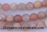 CMS350 15.5 inches 6mm faceted round natural pink moonstone beads