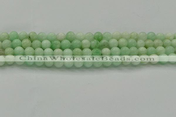 CMS411 15.5 inches 6mm round green moonstone beads wholesale