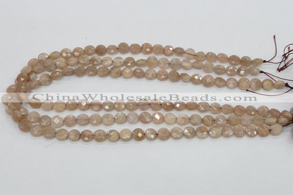 CMS43 15.5 inches 8mm faceted coin moonstone gemstone beads