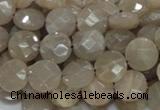 CMS44 15.5 inches 10mm faceted coin moonstone gemstone beads