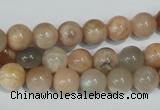 CMS503 15.5 inches 8mm round moonstone beads wholesale