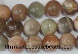 CMS505 15.5 inches 12mm round moonstone beads wholesale