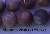 CMS506 15.5 inches 14mm round moonstone beads wholesale